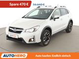 Subaru XV 2.0 Exclusive+*NAVI*XENON*CAM*KLIMA*TEMPO* - Subaru aus 2016