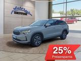 Skoda Kodiaq 2,0TDI DSG Matrix/Navi/ACC/el.Klappe/Kame