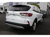 Ford Kuga Titanium X 2,0l EcoBlue Navi Frontkamera - Ford Kuga mit Diesel-Antrieb: Geländewagen