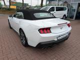 Ford Mustang Convertible 5.0 l Ti-VCT V8 GT Auto - Ford Mustang Gebrauchtwagen in Bremen