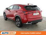 Lexus NX-Serie NX 300h Business Line Aut*LED*TEMPO*CAM - Lexus aus 2021