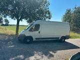 Peugeot Boxer 2,2l  H2L3, TÜV neu, Service... - Peugeot Boxer in München