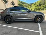 Alfa Romeo Stelvio Veloce "Vollausstattung " - Alfa Romeo Stelvio: Veloce