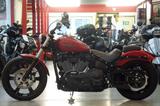 Harley-Davidson Softail Street Bob 114 FXBBS - HARLEY-DAVIDSON SOFTAIL STREET BOB FXBB