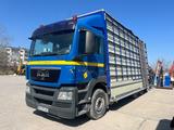 MAN Tgs 35.360 Glass transport  - MAN Gl
