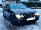 Mercedes-Benz E 320 CDI T-Modell (W211) | ... - Mercedes-Benz E 320: Cdi T Modell