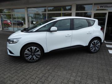 Renault Scenic - 2