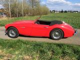 Austin Healey Andere