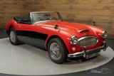 Austin Healey 3000 MK3 | restauriert | 1965 - Austin Healey aus 1965