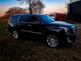 Cadillac Escalade 6.2 V8 Platinum ESV Autom. Platinum - Cadillac Escalade aus 2016