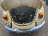 Volkswagen Käfer - Volkswagen: Beige, Cabrio