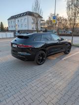 Jaguar F-Pace P250 R-DYNAMIC BLACK AWD R-DYNAMIC BLACK - Jaguar F-Pace in Essen