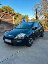 Fiat Punto 1.2 Benzin 69 PS - Fiat Punto in Mönchengladbach