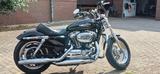 Harley-Davidson Sportster Custom XL 1200 Top Zustand!! - Angebote