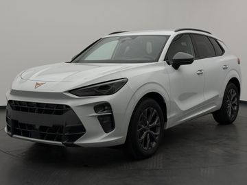 Cupra Terramar - 2