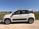 Fiat Panda | Klimaanlage | Winterreifen - Fiat Panda: Von Privat