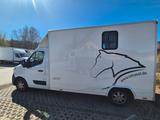 Renault Master Pferdetransporter 3,5t mit Schaltgetriebe - Tier-/Pferdetransport 3 pferde
