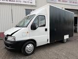 Fiat Ducato 2.0 62kW 84PS Verkaufswagen - Fiat Ducato in Wuppertal