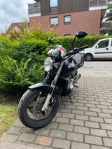 Honda Hornet PC 36 CB 600F - Offers matching your search criteria