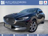 Mazda CX-30 2.0l "Selection" "X " "BOSE" M Hybrid - Mazda CX-30 Gebrauchtwagen in Berlin