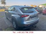 Lexus NX 300 300h E-FOUR Luxury Line - Lexus NX Luxury-Line