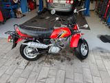 Honda CY 50 - Angebote entsprechen deinen Suchkriterien