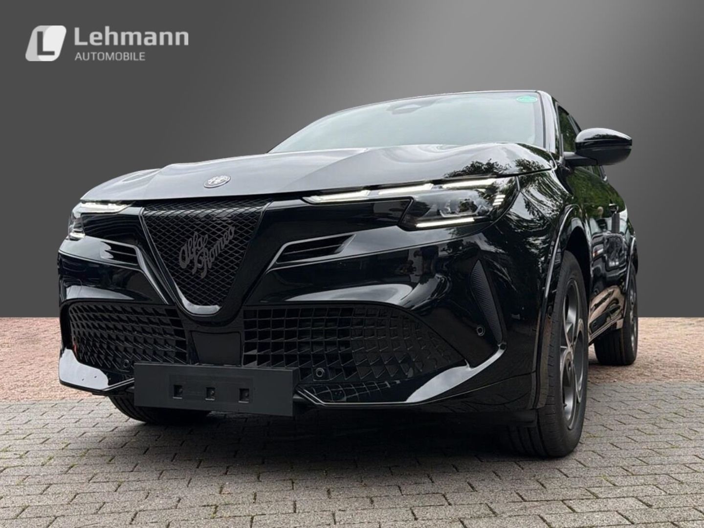 Fahrzeugabbildung Alfa Romeo Junior Elettrica Sport Speciale -Panorama-Wärmep
