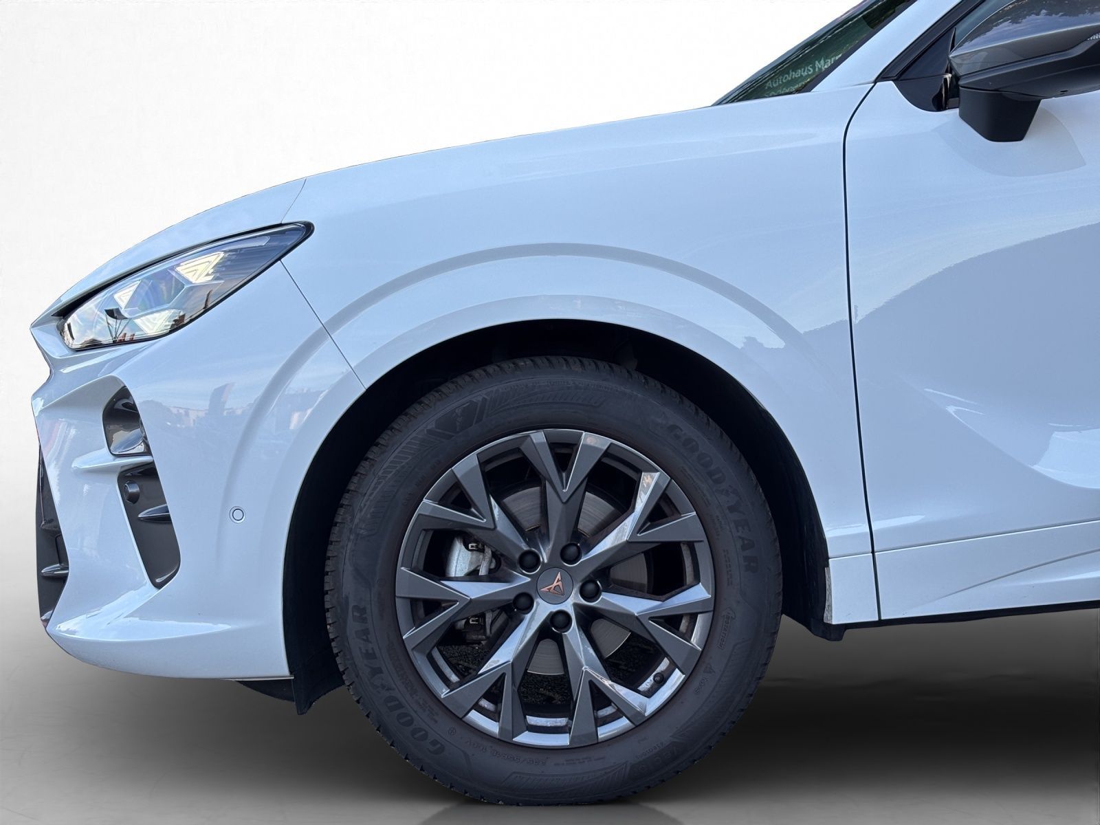 Cupra Terramar - Bild 12