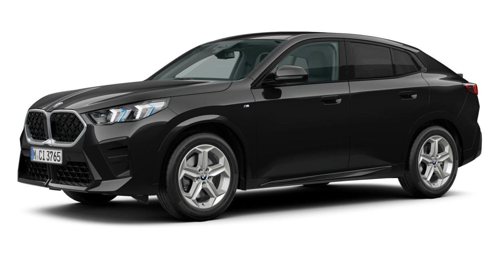 BMW X2 sDrive20i M Sport Aktivsitz DA+ H/K AHK