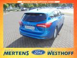 Ford Focus Titanium 1.0 Kamera Navi Schiebedach SHZ - Ford Focus Gebrauchtwagen in Hamm