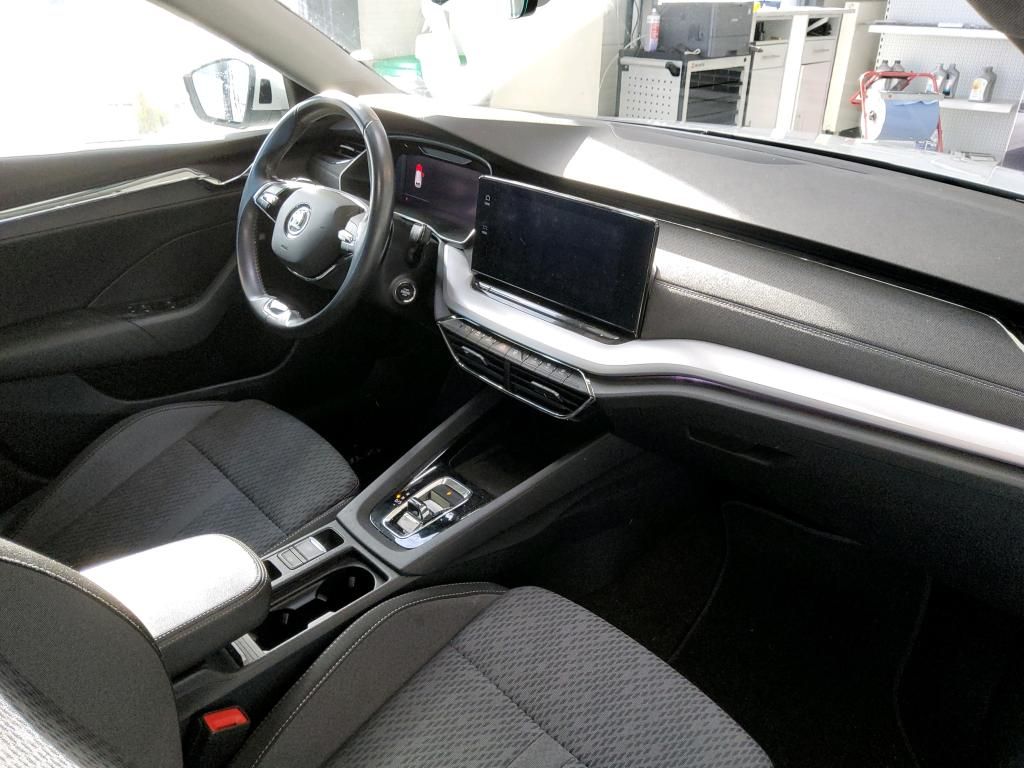 Fahrzeugabbildung SKODA Octavia Combi TDI First-Edition DSG Matrix AHK N