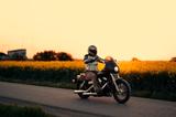 Harley-Davidson DYNA Street Bob 96ci 2011 - AS NEW - 2011 STREET BOB