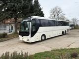 MAN R08 Lions Coach - Angebote