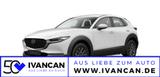Mazda CX-30 2.5i 140PS Prime-Line - Mazda CX-30 Prime-Line mit Hybrid-Antrieb (Benzin/Elektro)