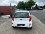 Kia Picanto Edition 7 - Kia Picanto Gebrauchtwagen in Düsseldorf