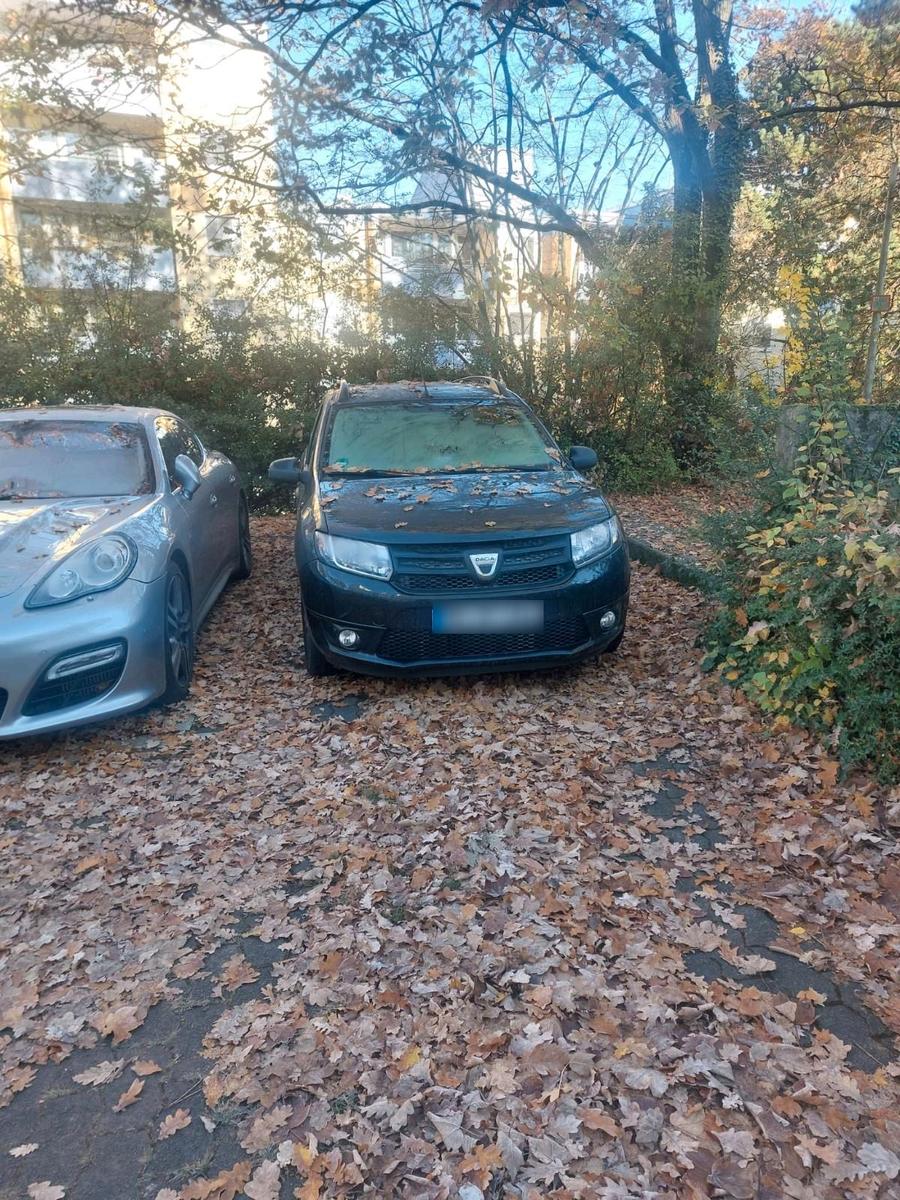Dacia Logan 2013 — photo 7