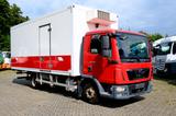 MAN TGL 8.180 BL Thermoking V500 MAX,Kamera,Navi - MAN V8