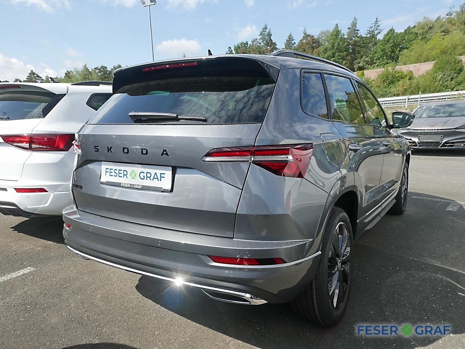 Skoda Karoq - Bild 3