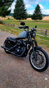 Harley-Davidson Sportster XL883R  - HARLEY-DAVIDSON 2012 SPORTSTER