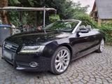 Audi A5 2.0 TFSI Cabrio/Topzustand/Erstlac... - Audi Cabriolet: 2.0