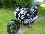 Suzuki GW250 Inazuma nur 5850km - Offers