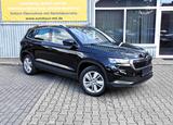 Skoda Karoq 1.5l TSI DSG Selection Navi ACC 3x Heizung - Skoda Karoq: Selection