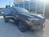 Lexus NX 450h+ Executive AWD CVT LED Apple/Andr PlugIn - Lexus NX 450h Gebrauchtwagen