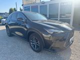 Lexus NX 450h+ Executive AWD CVT LED Apple/Andr PlugIn - Lexus NX 450h Gebrauchtwagen