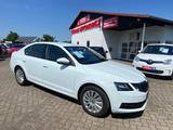 Skoda Octavia Lim. Active 1.2TSI Start/Stop I-Hand - Skoda Octavia Active mit Benzin-Antrieb