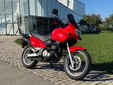 Suzuki XF 650 Freewind (Facelift Modell) - SUZUKI FREEWIND 650