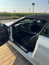 Mercedes-Benz C 250 Cabrio AMG Line Autom. Head-Up Scheckheft  - Mercedes-Benz C-Klasse Gebrauchtwagen in München