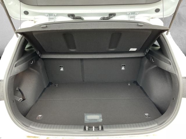 Fahrzeugabbildung Kia Ceed 1.0 T-GDI ULTIMATE EDITION *STYLE-PAKET*KEY