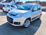 Fiat New Panda 1.2 8V MY PANDA - Fiat New Panda Gebrauchtwagen