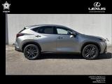 Lexus NX 450h+ E-FOUR Luxury mit Panoramadach - Lexus: Nx